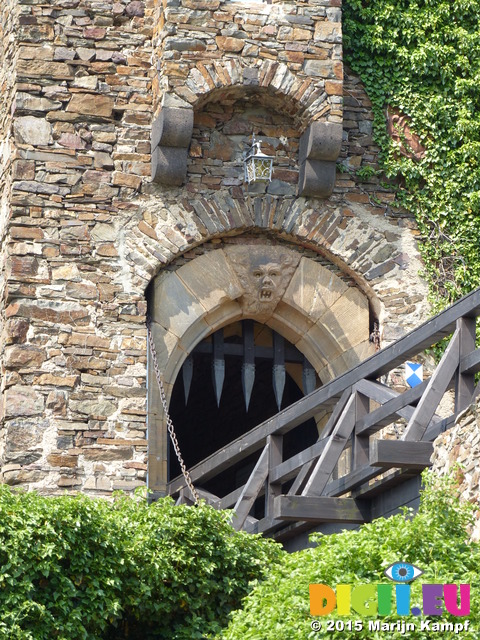 FZ017261 Teeth of portcullis and sculpture on Burg Thurant